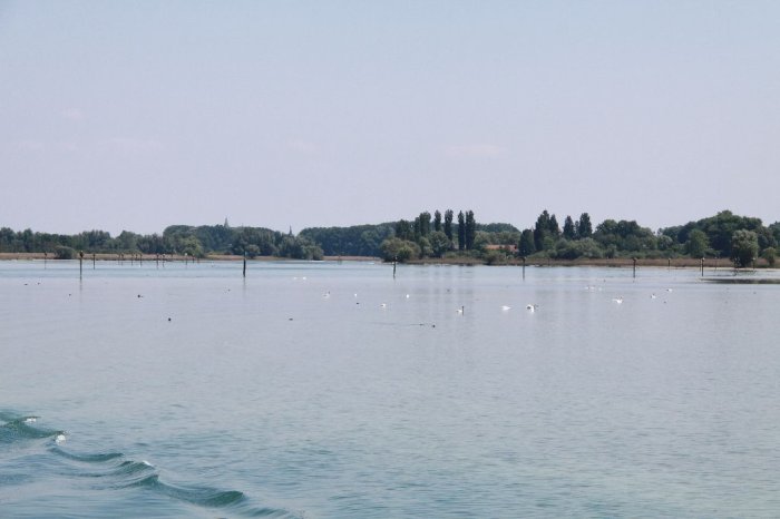 Rita_Raffi_ (195).JPG